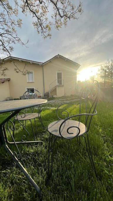 5 Mn Vienne, Confort Et Calme A La Campagne Reventin-Vaugris Kültér fotó